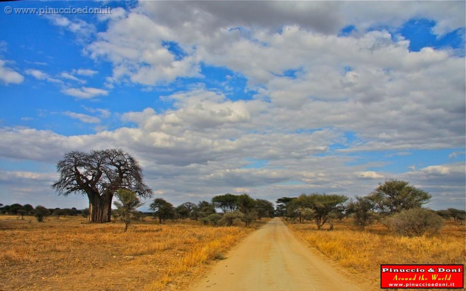 TANZANIA - Tarangire National Park - 03.jpg